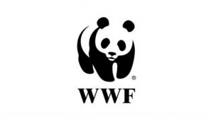 WWF: «Tο πολυνομοσχέδιο για το περιβάλλον επιτρέπει τη δόμηση 30 μέτρα από τον αιγιαλό»