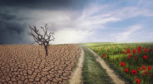 Κλιματική αλλαγή: Ρεκόρ συγκέντρωσης αερίων του θερμοκηπίου στην ατμόσφαιρα το 2023