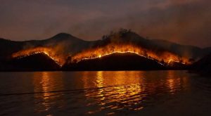 Φωτιές: Τα τελευταία 7 χρόνια κάηκε το 23% της Αττικής