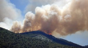 Ρόκος: 12 προτάσεις για την πρόληψη και αντιμετώπιση των δασικών πυρκαγιών