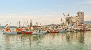 Λιμάνια: Γιατί μπήκαν «τίτλοι τέλους» στον διαγωνισμό για τον Βόλο… αλά Αλεξανδρούπολη – Οι νέες γεωπολιτικές ισορροπίες