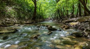 MedINA: Η αποκατάσταση των ποταμών είναι αναγκαιότητα