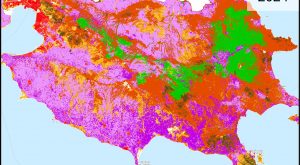 Πώς επιστήμονες του ΑΠΘ χαρτογραφούν την υγεία όλων των ελληνικών δασών