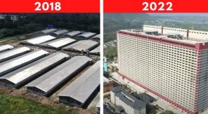 Κίνα: Οι ουρανοξύστες χοίρων επεκτείνονται στο εξωτερικό
